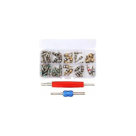 Lot de 100 obus de valve R12/R134A, kit démonte-obus pour climatisation auto – (1/4)