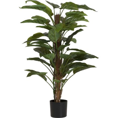 Plante Aureum avec pot 60 x 60 x 130 cm (1/2)