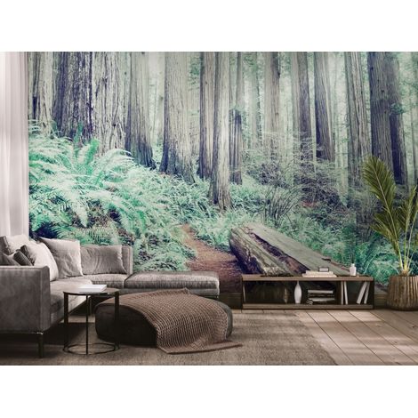 Papier peint Nature – souche de bois en forêt - 150 x 250 cm (1/2)