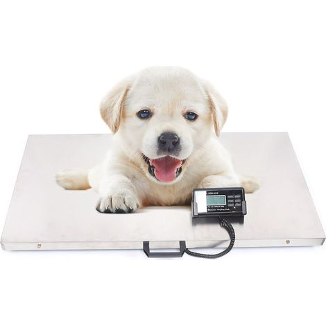 Ausgewogene Tierarztwaage mit LCD-Anzeige 300 kg (1/5)