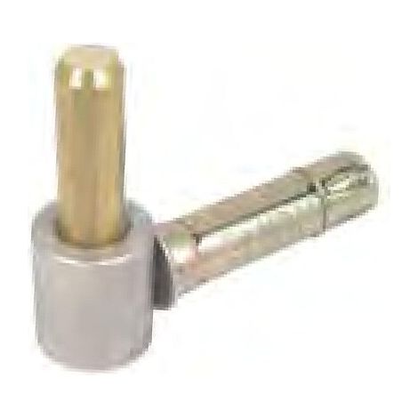 Gond à vis métaux Inox 316 avec cheville axe Ø 14 mm - TORBEL INDUSTRIE