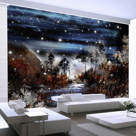 Papier peint nuit dans la forêt - 300 x 210 cm (1/4)