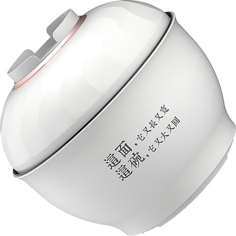 Marmite électrique multifonction à chauffage rapide, mini-marmite électrique portable pour la maison, les étudiants et les dortoirs, prise CN 220 V, blanche (1/5)