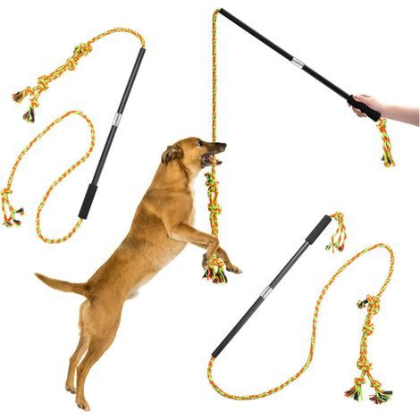 Bâton Télescopique pour Chien et Chat Longueur de corde 2,1 m (1/4)
