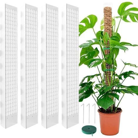 Tuteur pour Monstera de 60 cm – Lot de 4 supports en mousse de sphaigne avec velcro et clous – Idéal pour plantes grimpantes d’intérieur (1/5)