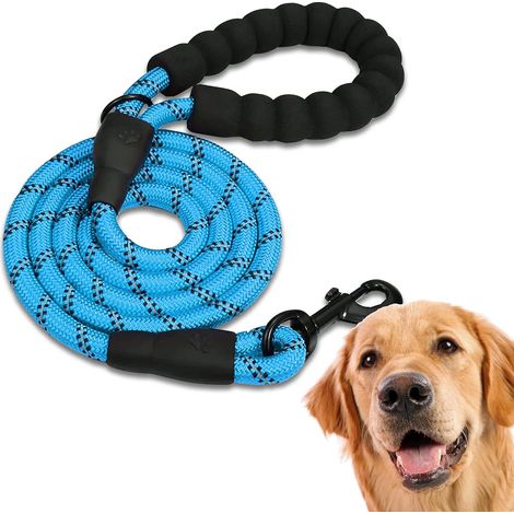 Laisse Chien, Laisse de Dressage pour Chien, Rembourrée, Poignée Souple, Corde pour Chiots et Petits, Moyens et Grands Chiens(1.5 M, Bleu) (1/5)