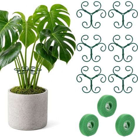 Lot de 6 tiges de support pour plantes (1/5)
