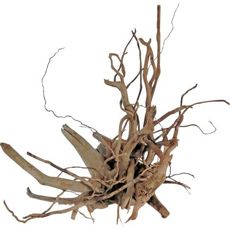 Orbit Finger-Wurzel Größe M 30-40 cm Wurzel/Gehölz