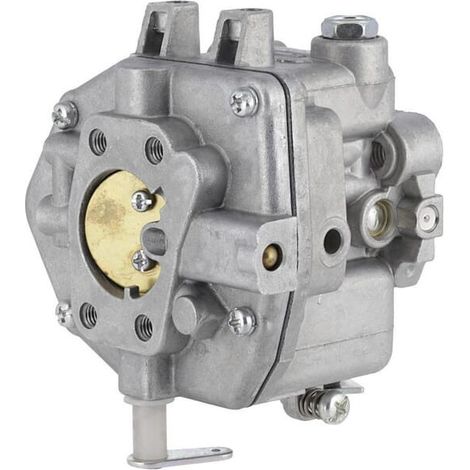 Carburateur BRIGGS ET STRATTON 844992 (1/3)