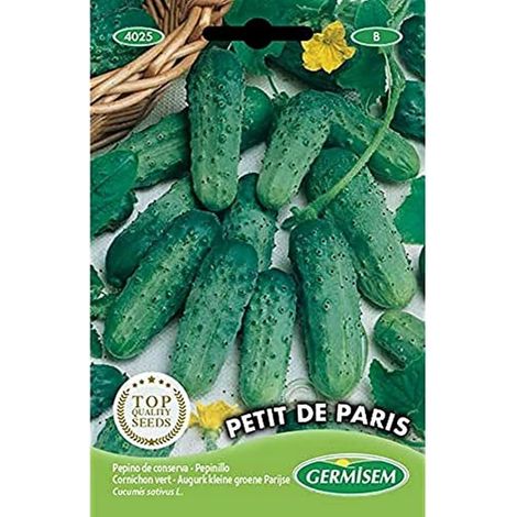 graines Cornichon vert PETIT DE PARIS (1/2)