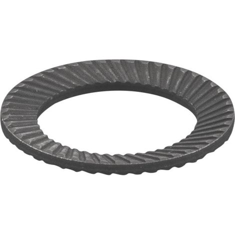 Sicherungsscheibe 087011
