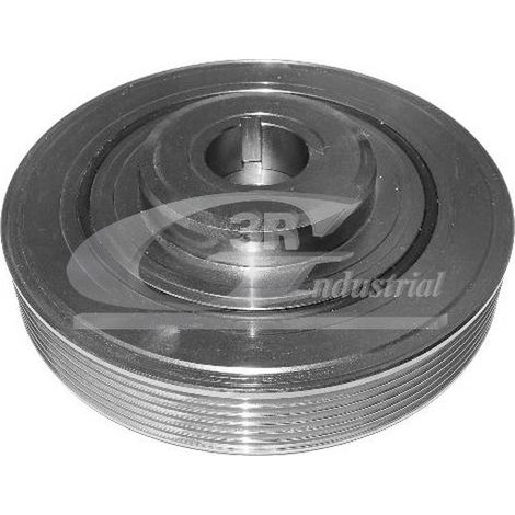 3RG 10231 POLEA CIGÜEÑAL