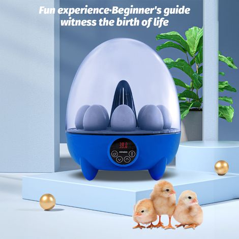 Incubateur pour œufs à couver 8 œufs avec éclairage LED, contrôle de la température et vue à 360°. Incubateur pour œufs de poule, canard, oie, caille, oiseaux. Idéal pour l'école, la maison, la ferme 