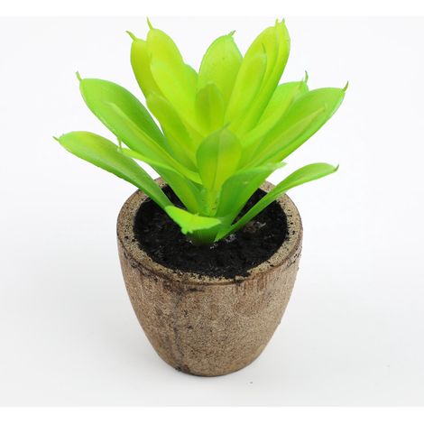 lot De 2 Rpliques De Succulentes Artificielles En Plastique Avec Pot De Fleurs 12cm (1/5)