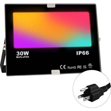 Projecteur LED 30W Connecté Bluetooth Mural - Couleurs Variées - Contrôle à Distance - D-Work
