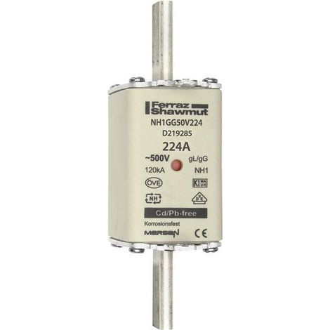 Mersen 1B173.000000 Fusibile NH Misura fusibile = 1 224 A 500 V 1 pz.