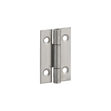 Cerniera per porte, 30x19mm, acciaio