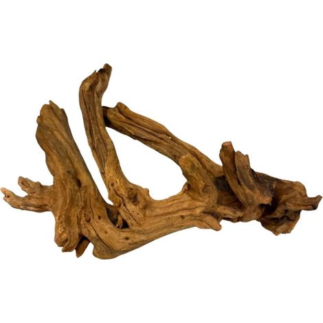 BioRoot Driftwood M / 20-30 cm / Radice tropicale per terrari e acquari (1/5)