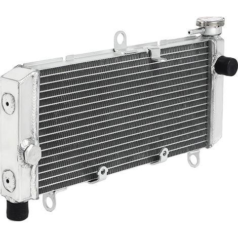 Radiador de motor, aluminio de alta calidad, eficiencia de refrigeración mejorada, CB600F 98-06 (1/2)