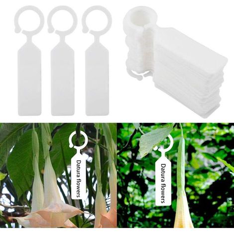 100 Stück Pflanzenmarkierungsetiketten, Kunststoff, wasserdicht, für Pflanzen, Bäume, Garten, dicke Hängeetiketten aus Kunststoff, Blumenpflanzenetiketten (weiß) (1/4)