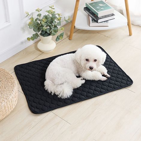 Tapis D'Absorption Pour Chiens - Épais - Anti-Odeur - Lavable En Machine - Séchage Rapide - Non Glissant - Pour Entraînement Ou Protection Sol/Canapé - 1 Pièce (1/5)