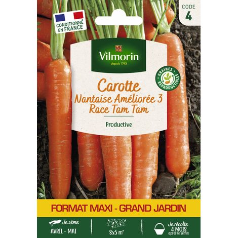Vilmorin - Carotte nantaise améliorée 3 race Tam Tam Grand Jardin (1/2)