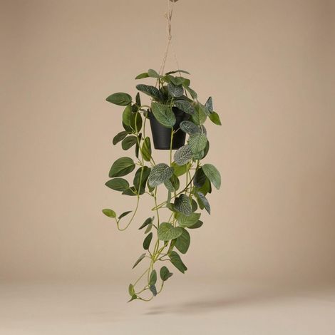 Fittonia Plante Artificielle Tombante avec Pot Noir et Suspension en Corde Vert 70 cm - PANGIVO (1/5)