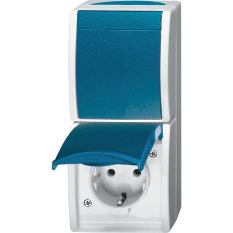 Busch-Jaeger Steckdose-Wechselschalter Ocean, Aufputz,2601/6/20 EW-53 Busch-Jaeger