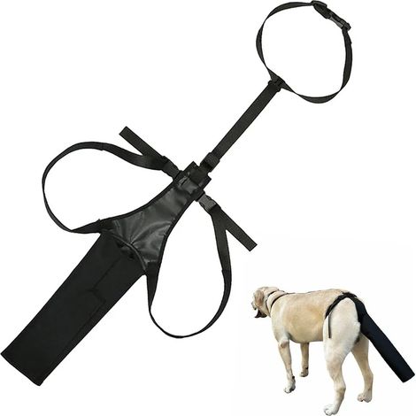 Schwanzschutz für Hunde, atmungsaktives Wundschutzgeschirr für Hunde, geeignet für mittelgroße und große Hunde, schwarz. (1/4)