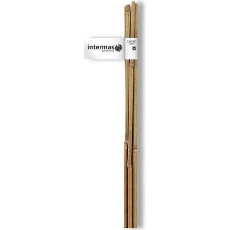 Tuteur Bambou Naturel 150cm ép.10/12mm Lot De 2 Pièces - Nortene