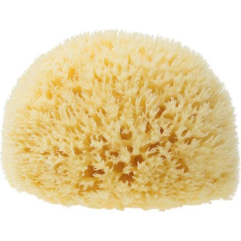 ponge Naturelle, Ponge De Bain Trs Douce De Grce, Pour Plus De Mousse, Hypoallergnique, Ponge De Douche De Qualit, Ponge Lavable, Fleur De Douche, (1/4)