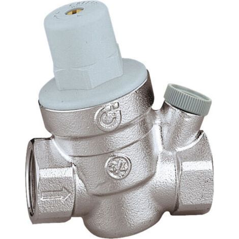 Thermador – Réducteur de pression pour eau froide 3/4'' FF – Corps laiton chromé – Pression réglable 1 à 6 bar – Installation facile incliné