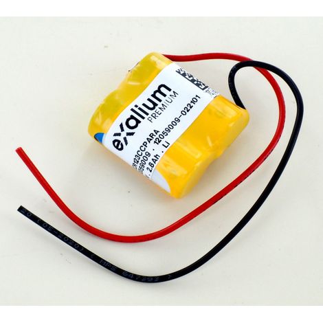 Pile lithium 3V pour portail automatique