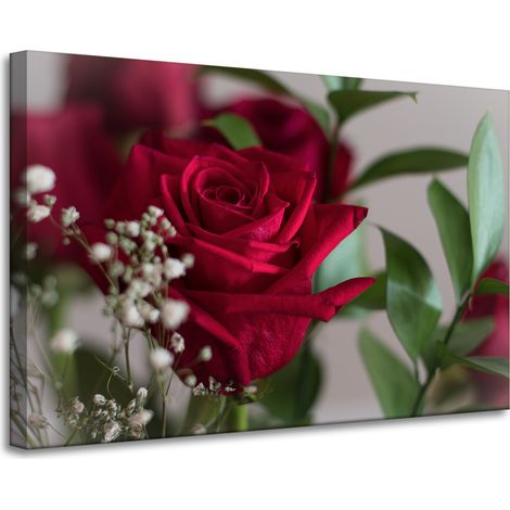 Leinwanddruck Botanische rote Rosen 90x60 cm