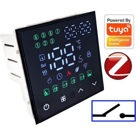Thermostat-Kesselpumpensteuerung Zigbee TUYA (1/5)