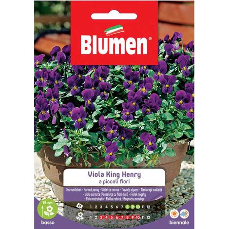 SEMI VIOLA KING HENRY BLUMEN