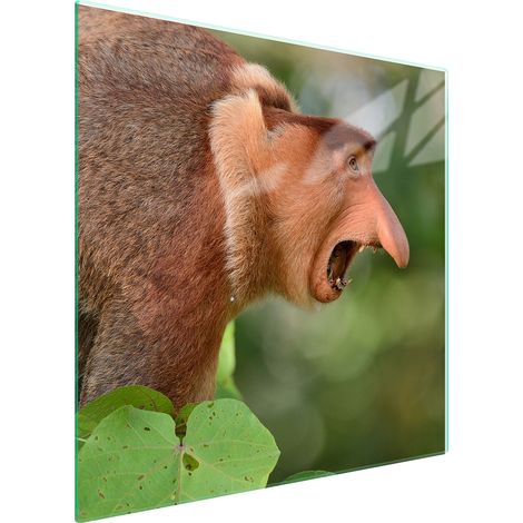 PLAQUE DE PROTECTION EN VERRE POUR POÊLE 50x52 NOSACZ (1/5)