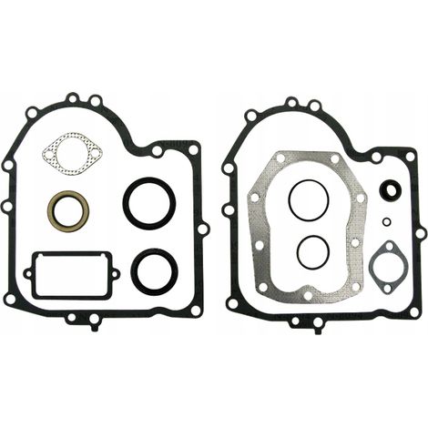 Kit guarnizioni motore BRIGGS STRATTON 494241 490525