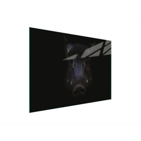 Glasschneidebrett 30x22 Boar