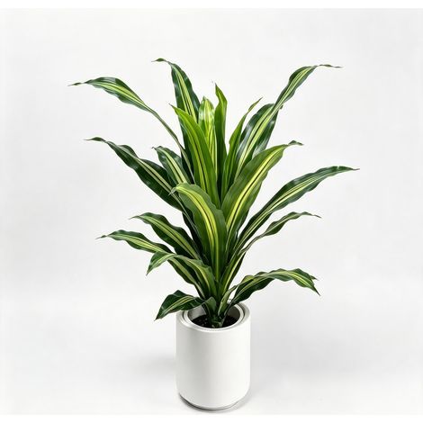 Arbre de fer brésilien artificiel – Fausse dracaena fragrans ultra-réaliste pour la décoration de la maison et du bureau – Résistant aux UV, écologique, feuilles réglables (1/5)