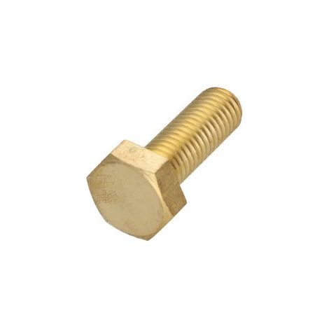 Vis métaux Laiton Tête hexagonale TH M10X40-30 pièces