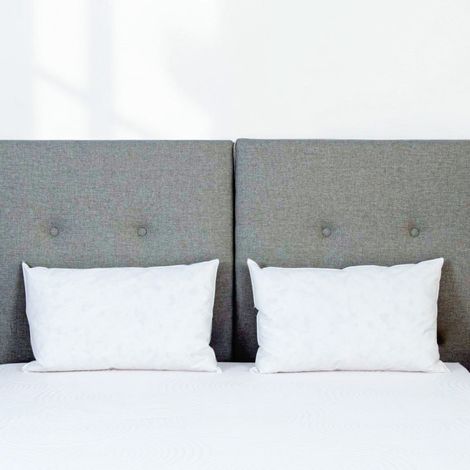 Lot de 2 oreillers Chambord 40x60 cm Duvet & Plumes (1/5)