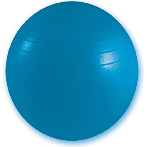 Balle de résistance, Ballon de gymnastique, pour rééducation, entraînement dynamiques, yoga, Pilates, Chaise de bureau, Couleur Bleu, Diamètre 75 cm, Niveau de résistance 136 kg. (1/5)