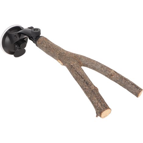 Perchoir interactif antidérapant en bois pour perroquets de petite et moyenne taille, avec ventouses, 20 cm / 7,9 pouces. (1/5)