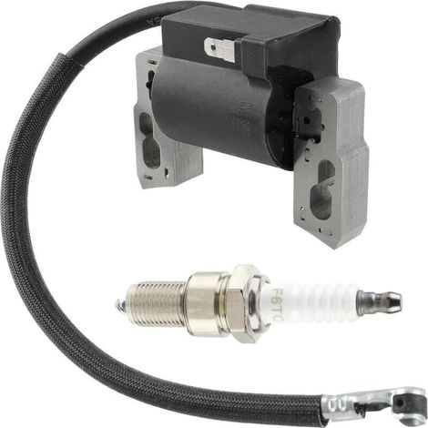 Pack bobine d'allumage haute tension adapté au moteur 797040 avec bougie d'allumage (1/3)