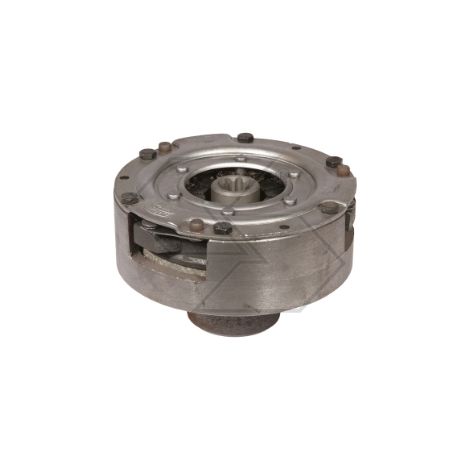 Frizione lamellare bidisco per trattori agricoli carraro NEWGARDENSTORE A00362