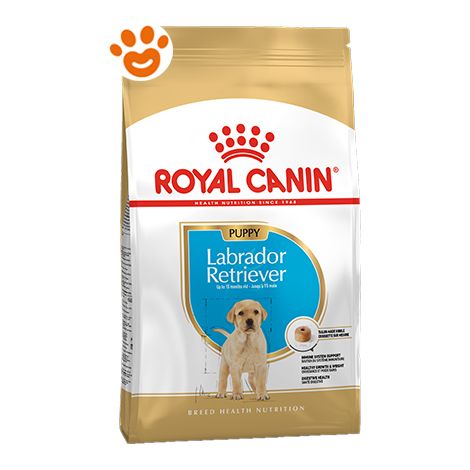Royal Canin Dog Puppy Labrador  - Royal Canin Dog Puppy Labrador - Sacco Da 3 Kg (1/5)