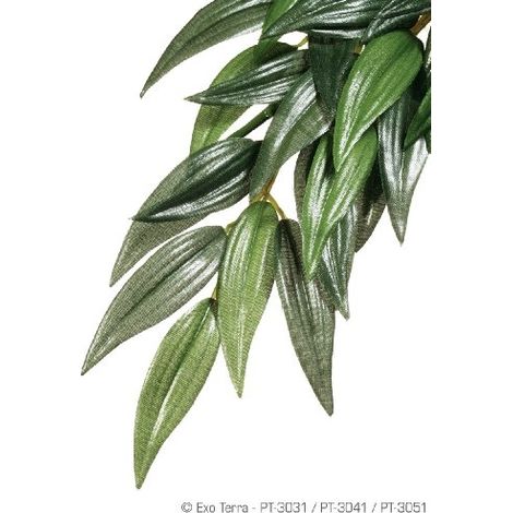 EXOTERRA PLANTE DE DÉCORATION POUR REPTILE RUSCUS TERRMM
