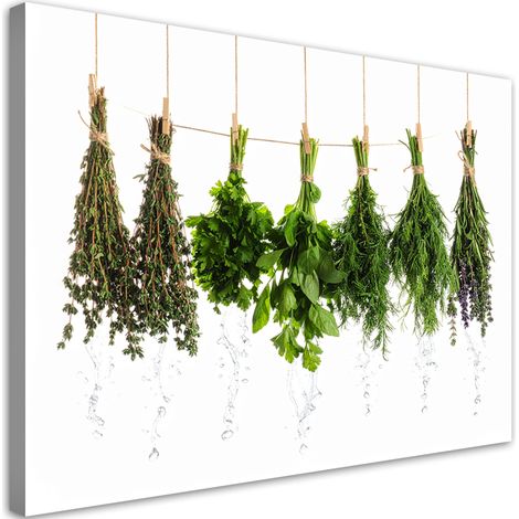 Wandbild Kräuter Gewürze Pflanzen 100x70 cm (1/5)