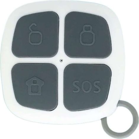 Telecomando Per Kit Allarme Supplementare Controllo Remoto Sicurezza (1/3)